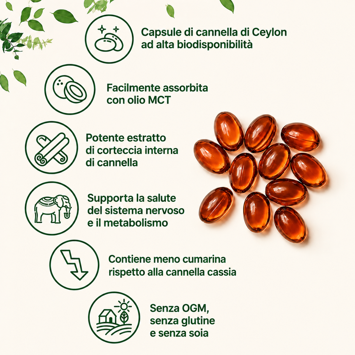 NutraVitta Canela do Ceilão equivalente a 7200 mg com óleo MCT